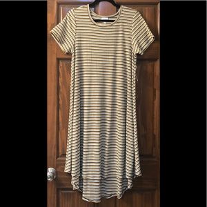 NWT Pocketless LuLaRoe Carly Dress- Brown Striped